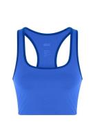 Tipped Paloma Bra Lingerie Bras & Tops Sports Bras - All Blue Girlfriend Collective