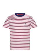 Striped Cotton Jersey Tee Tops T-Kortærmet Skjorte Red Ralph Lauren Kids