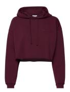 Pro Cropped Sweat Hoodie Tops Sweatshirts & Hoodies Hoodies Burgundy H2O Fagerholt