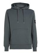 Badge Hoodie Tops Sweatshirts & Hoodies Hoodies Grey Calvin Klein Jeans