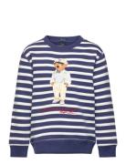 Striped Polo Bear Fleece Sweatshirt Tops Sweatshirts & Hoodies Sweatshirts Blue Ralph Lauren Kids