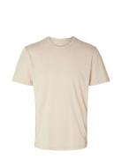 Slhaspen Mini Str Ss O-Neck Tee Noos Tops T-Kortærmet Skjorte Cream Selected Homme