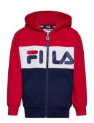 Baar-Ebenhausen Sport Sweatshirts & Hoodies Hoodies Multi/patterned FILA