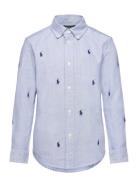 Polo Pony Cotton Oxford Shirt Tops Shirts Long-sleeved Shirts Blue Ralph Lauren Kids