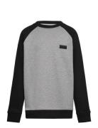 By Core Basic Raglan Crew Tops Sweatshirts & Hoodies Sweatshirts Grey VANS