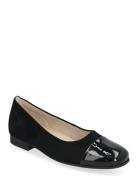 Ballerina Ballerinasko Ballerinaer Black Gabor