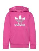 Trefoil Hoodie Tops Sweatshirts & Hoodies Hoodies Pink Adidas Originals