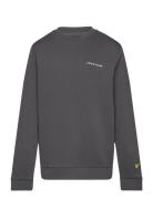 Script Crew Neck Sweatshirt Tops Sweatshirts & Hoodies Sweatshirts Grey Lyle & Scott