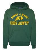 Garment-Dyed Fleece Graphic Hoodie Tops Sweatshirts & Hoodies Hoodies Green Polo Ralph Lauren