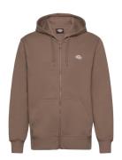 Summerdale Zip Through Designers Sweatshirts & Hoodies Hoodies Brown Dickies