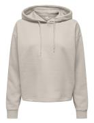 Onpcomfort Ls Brush Hood Swt Tops Sweatshirts & Hoodies Hoodies Beige Only Play