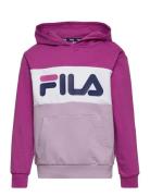 Bagana Blocked Hoody Sport Sweatshirts & Hoodies Hoodies Pink FILA