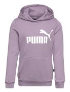 Ess Logo Hoodie Fl G Sport Sweatshirts & Hoodies Hoodies Purple PUMA