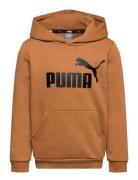 Ess Big Logo Hoodie Fl B Sport Sweatshirts & Hoodies Hoodies Brown PUMA