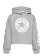 Converse Signature Cropped Hoodie Tops Sweatshirts & Hoodies Hoodies Grey Converse