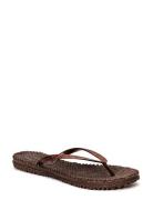 Flipflop With Glitter Shoes Summer Shoes Sandals Flip Flops Brown Ilse Jacobsen