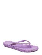 Flipflop With Glitter Shoes Summer Shoes Sandals Flip Flops Purple Ilse Jacobsen