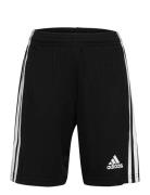 Squadra 21 Short Youth Sport Shorts Sport Shorts Black Adidas Performance