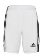 Squadra 21 Short Youth Sport Shorts Sport Shorts White Adidas Performance