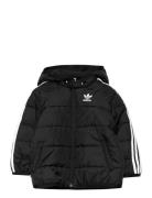 Padded Jacket Sport Jackets & Coats Puffer & Padded Black Adidas Originals