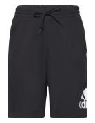 Essentials Big Logo French Terry Short Sport Shorts Sweat Shorts Black Adidas Sportswear