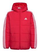 3-Stripes Padded Jacket Kids Sport Jackets & Coats Puffer & Padded Red Adidas Sportswear