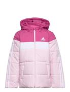 Padded Jacket Kids Sport Jackets & Coats Puffer & Padded Pink Adidas Sportswear