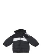 In F Pad Jkt Sport Jackets & Coats Puffer & Padded Black Adidas Sportswear