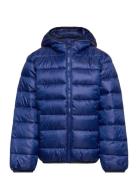 Hooded Jacket Sport Jackets & Coats Puffer & Padded Blue Champion