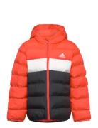 J Sd Jkt Outerwear Jackets & Coats Winter Jackets Orange Adidas Sportswear