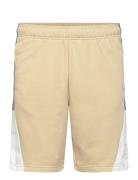 Bermuda Sport Shorts Sweat Shorts Beige Champion