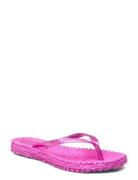 Flip Flop With Logo Shoes Summer Shoes Sandals Flip Flops Pink Ilse Jacobsen