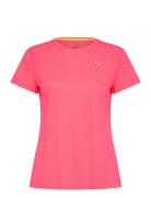 Run Favorites Velocity Tee W Sport T-shirts & Tops Short-sleeved Pink PUMA