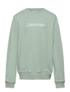 Inst. Logo Regular Cn Tops T-shirts Long-sleeved T-Skjorte Green Calvin Klein