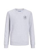 Jjeswift Sweat Crew Neck Mni Tops T-shirts Long-sleeved T-Skjorte Grey Jack & J S