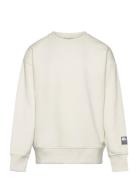 Over Basic Sweatshirt Tops Sweatshirts & Hoodies Sweatshirts Cream Tom Tailor