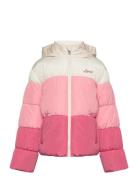 Color Block Puffer / Lvg Color Block Puffer Foret Jakke Pink Levi's