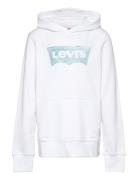 Lvb Palm Batwing Fill Hoodie / Lvb Palm Batwing Fill Hoodie Tops Sweatshirts & Hoodies Hoodies White Levi's