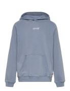 Lvb Lived-In Hoodie / Lvb Lived-In Hoodie Tops Sweatshirts & Hoodies Hoodies Blue Levi's