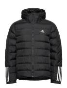 Itavic 3S Midweight Hooded Jacket Foret Jakke Black Adidas Sportswear