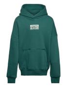 Cnvn Relaxed Flc Po Hoodie / Relaxed Flc Po Hoodie Tops Sweatshirts & Hoodies Hoodies Green Converse