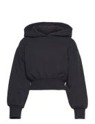 Cropped Hoody Tops Sweatshirts & Hoodies Hoodies Black Tom Tailor