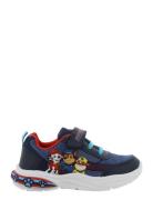 Paw Patrol Sneaker Low-top Sneakers Navy Paw Patrol