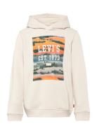 Lvb Landscape Box Hoodie / Lvb Landscape Box Hoodie Tops Sweatshirts & Hoodies Hoodies Cream Levi's