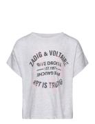 Short Sleeves Tee-Shirt Tops T-Kortærmet Skjorte Grey Zadig & Voltaire Kids