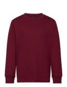 Cotton Jersey Long-Sleeve Tee Tops Sweatshirts & Hoodies Sweatshirts Burgundy Ralph Lauren Kids