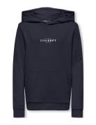 Kobjake L/S Hood Swt Tops Sweatshirts & Hoodies Hoodies Navy Kids Only