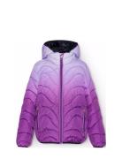 Hao Foret Jakke Purple Molo