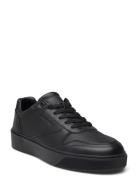 Low Top Lace Up Bskt Lth Low-top Sneakers Black Calvin Klein