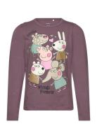 Nmfamanda Peppapig Ls Top Box Cplg Tops T-shirts Long-sleeved T-Skjorte Purple Name It